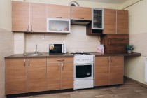 ул. Анищенко 11/1 кв.56